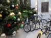 bike-angel-7