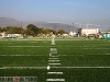 New Turf 4