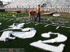 New Turf 5