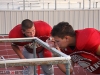 Burroughs High Preseason Football 13