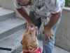 Volunteers at the Burbank Animal Shelter