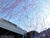 Starlight Bowl 2012 l