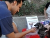 10-Week Old Puppy : Up For Adoption