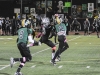 viking-football-game-action-3775