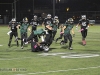 viking-football-game-action-3795