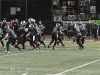viking-football-game-action-3845