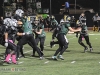viking-football-game-action-3858