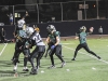 viking-football-game-action-3870