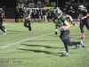 viking-football-game-action-3877
