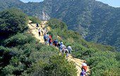 Hike Horizontal