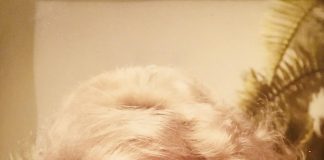 Lee Paysinger a True Community Icon Passes Away