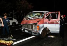 Traffic Accident Leaves One Injured from a Pack-Rat Vehicle