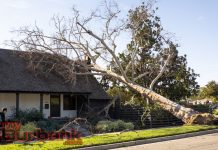 Windy Weather Rips Through Burbank