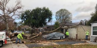Burbank Survives With Minimal Damage From First Storm of the Season