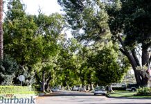 Guest Column: URGENT! Help Stop Bad and Thoughtless Sacramento Housing Bills Before it is Too Late