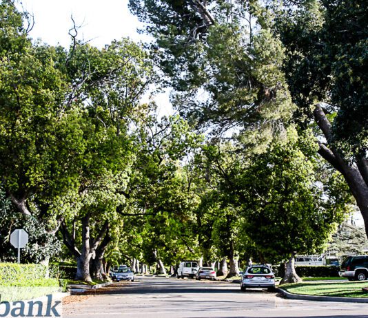 Burbank Named Tree City USA for the 44th Consecutive Year by the Arbor Day Foundation
