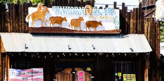 Tinhorn Flats Soap Opera Continues: Lepejian Evicts Lepejian From Building