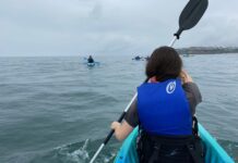 Get Out Of Town!: Laguna Beach Kayak Tours With Laguna Ethos