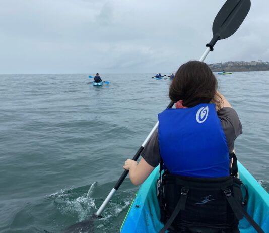 Get Out Of Town!: Laguna Beach Kayak Tours With Laguna Ethos