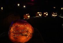 Get Out Of Town!: Carved At Descanso Gardens