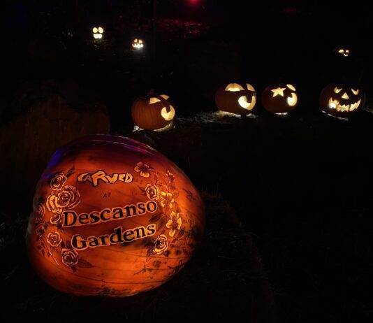 Get Out Of Town!: Carved At Descanso Gardens