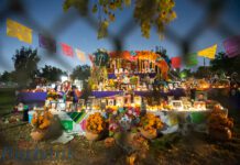 DEI Committee of Roosevelt Elementary Creates Día de los Muertos Altar