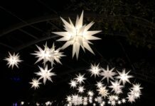 Get Out Of Town!: Enchanted Forest of Light at Descanso Gardens