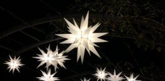 Get Out Of Town!: Enchanted Forest of Light at Descanso Gardens