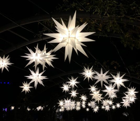 Get Out Of Town!: Enchanted Forest of Light at Descanso Gardens