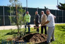 Burbank’s 33,000 Trees Celebrated in Tree City USA Ceremony