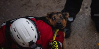 Photo Gallery: River Rescue Successfully Saves Humans and K-9 Scooby