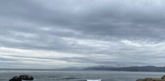 Get Out Of Town!: San Francisco And The Bay Area