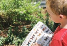 Summer Family Fun: 250+ Places Within 3 Hours of Burbank