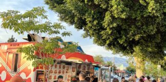 Farewell to Magnolia Park Night Out