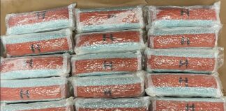 Traffic Stop by Burbank Police Lead to Discovery of Oxycodone Pills Containing Fentanyl