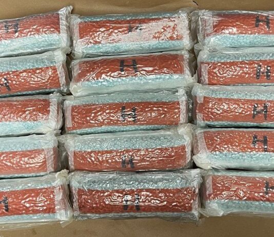 Traffic Stop by Burbank Police Lead to Discovery of Oxycodone Pills Containing Fentanyl