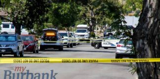 Identity of Homicide Victim Released