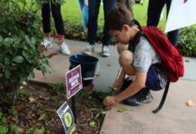Burbank Parks and Rec DIG Days Are Back