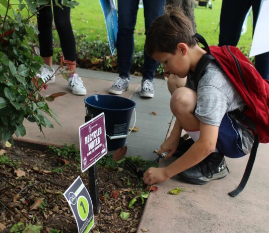 Burbank Parks and Rec DIG Days Are Back