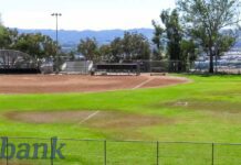 Sustainable Commission to City Council: No on Artificial Turf at Brace Park Fields