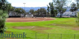 Sustainable Commission to City Council: No on Artificial Turf at Brace Park Fields