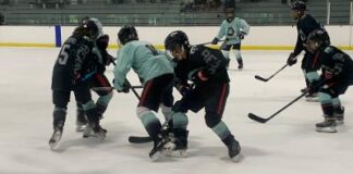 California Golden Bears Still Sending Hockey Players to the Next Level