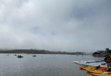 Get Out Of Town!: Upper Newport Bay Kayak Tours