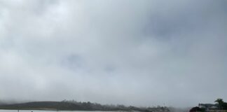 Get Out Of Town!: Upper Newport Bay Kayak Tours