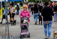 Photo Gallery: Free Pet Wellness Clinic Attracts Hundreds of Fur-Babies and Their Owners