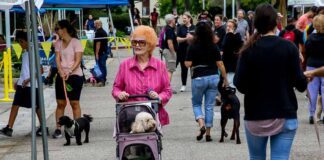 Photo Gallery: Free Pet Wellness Clinic Attracts Hundreds of Fur-Babies and Their Owners