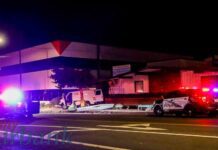 Burbank Police Nab Designer Handbag Thief Suspect Caught In The Act