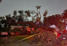 Burbank Sustains Storm Damage and a Sprinkling of Snow
