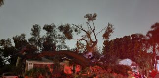 Burbank Sustains Storm Damage and a Sprinkling of Snow