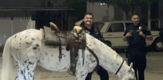 They Protect and Serve, With a Little Horse Wrangling on the Side